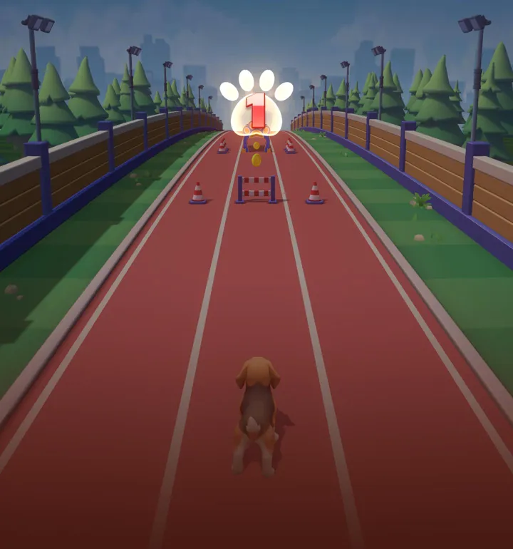 K9 agility training track with hurdles, cones and coins